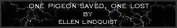 One pigeon saved, one lost by Ellen Lindquist