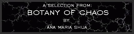 A Selection from 'Botany of Chaos' by Ana Mar�a Shua
