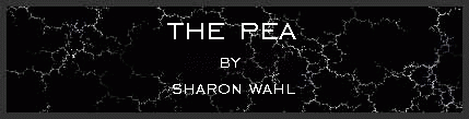 The Pea by Sharon Wahl
