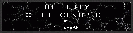 The Belly of the Centipede by Vit Erban
