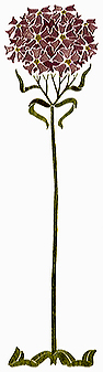 nouveau flower