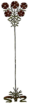 nouveau flower