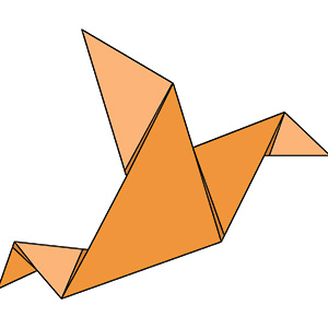 strange bird