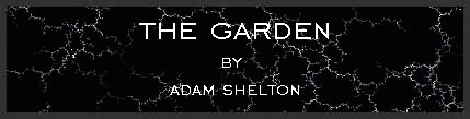 The garden by Adam Shelton