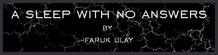 A sleep with no answers by Faruk Ulay